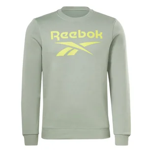 Męska Bluza REEBOK RI FLC BIG LOGO CREW H54792 – Szary - Bluzy męskie - miniaturka - grafika 1