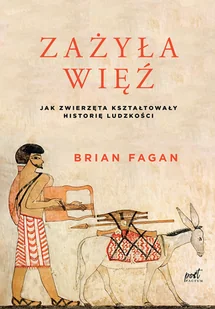 Brian Fagan Zażyła więź - Historia Polski - miniaturka - grafika 1