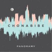 Reggae - Chonabibe Panoramy CD) Chonabibe DARMOWA DOSTAWA DO KIOSKU RUCHU OD 24,99ZŁ - miniaturka - grafika 1