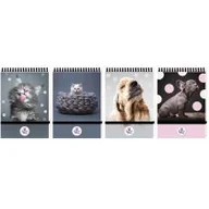 Szkolne artykuły papiernicze - Beniamin Kołonotes A6 The sweet pets kratka 96 kartek 10 szt. - miniaturka - grafika 1