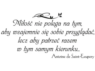 Cytaty, Miłość nie polega na tym aby wzajemnie się sobie przyglądać, Naklejka ścienna, 100x50 cm - Naklejki na ścianę - miniaturka - grafika 1