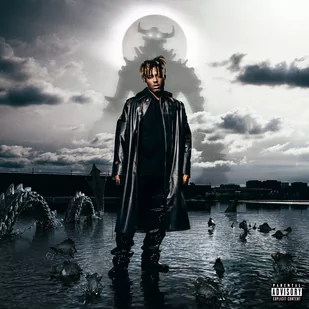 Juice Wrld - Fighting Demons - Rap, Hip Hop - miniaturka - grafika 1