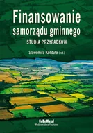 E-booki - biznes i ekonomia - Finansowanie samorządu gminnego. Studia przypadków - miniaturka - grafika 1