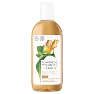 Kosmetyki do kąpieli - Dove Imbirowy żel pod prysznic Powered by Plants Imbir Oil Body Wash) 250 ml - miniaturka - grafika 1