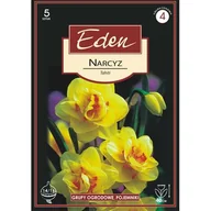 Nasiona i cebule - Narcyz pełny Tahiti 5 sztuk Eden - miniaturka - grafika 1