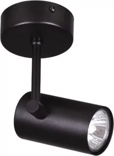Kaja ALFRED OLSZEWSKI Spot K-4840 - Lampy sufitowe - miniaturka - grafika 1