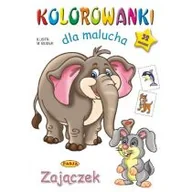 Książki edukacyjne - Kolorowanki dla malucha Zajączek - Mariola Budek - miniaturka - grafika 1