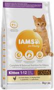 Sucha karma dla kotów - IAMS Vitality Kitten 3 kg - miniaturka - grafika 1