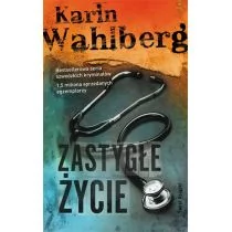 Zastygłe życie - Karin Wahlberg