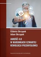 Zarządzanie - Jakość 4.0 w warunkach czwartej rewolucji przemysłowej - miniaturka - grafika 1