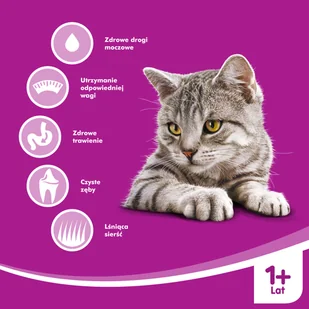WHISKAS Sterile 2x14 kg - sucha karma dla dorosłego kota po zabiegu kastracji, z pysznym kurczakiem - Sucha karma dla kotów - miniaturka - grafika 6