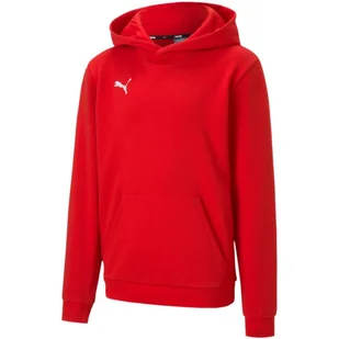 Bluza Dziecięca/dziecięca TeamGoal 23 Casual Hoodie - Odzież sportowa dziecięca - miniaturka - grafika 1