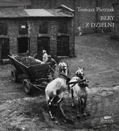 Poezja - Bery z dzielni - Wizerunkowe - miniaturka - grafika 1