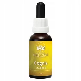 Cognis, Odnajdź jasność umysłu krople, 30ml - Witaminy i minerały - miniaturka - grafika 1