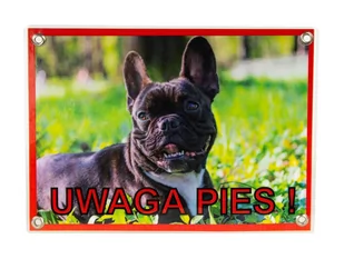 Tabliczka UWAGA PIES! Laminowana Bulldog Francuski - Odblaski i adresówki - miniaturka - grafika 1