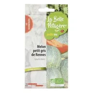 Nasiona i cebule - Nasiona do siewu - Melon Petit gris de Rennes - 0,6 g - miniaturka - grafika 1