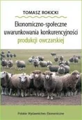Ekonomia - Ekonomiczno-społeczne uwarunkowania - miniaturka - grafika 1