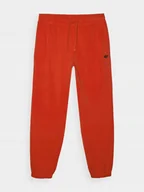 Dresy męskie - SPODNIE DRESOWE MĘSKIE TTROM1139 4F L - miniaturka - grafika 1