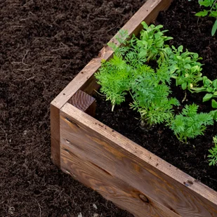 Warzywnik drewniany 120x80 impregnowany - W. Legutko - Szklarnie ogrodowe - miniaturka - grafika 1