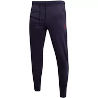 Spodnie męskie - Guess Spodnie Męskie Dresowe Adam Pant Granatowe M2Bb37K7On4 G9C9 Xl - miniaturka - grafika 1