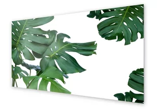 Panel kuchenny HOMEPRINT Zielone liście monstera 140x70 cm - Dekoracje domu - miniaturka - grafika 1