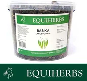 Akcesoria jeździeckie - EQUIHERBS Babka lancetowata 0,5 kg - miniaturka - grafika 1