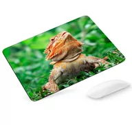Podkładki pod mysz - Podkładka pod mysz Agama - miniaturka - grafika 1