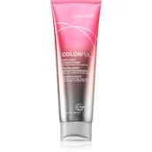Odżywki do włosów dla mężczyzn - Joico Colorful Anti-Fade Odżywka do włosów 250 ml - miniaturka - grafika 1