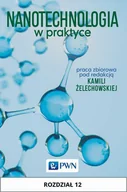 E-booki - nauka - Nanotechnologia w praktyce. Rozdział 12 - miniaturka - grafika 1