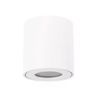 Lampy ogrodowe - Ideus Zewnętrzna LAMPA sufitowa ZORBA DWL 03954 metalowa OPRAWA tuba outdoor IP54 biała 03954 - miniaturka - grafika 1