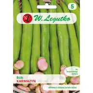 Nasiona i cebule - Bób ogrodowyKarmazyn SR nasiona 58g W. Legutko - miniaturka - grafika 1