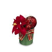 Ozdoby bożonarodzeniowe - MINI FLOWERBOX GREEN gwiazda betlejemska Z DREWNA OSIKOWEGO handmade RĘKODZIEŁO - PREZENT NA ŚWIĘTA / Aspen Art - miniaturka - grafika 1
