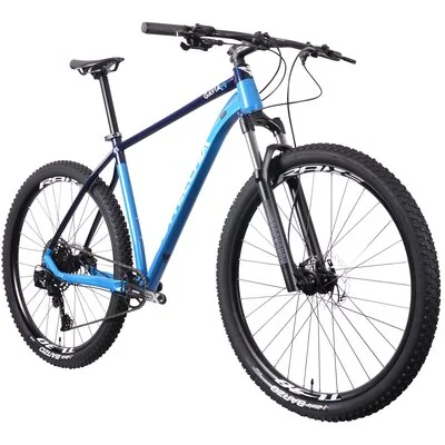 Bottecchia Gavia 29 cali męski Niebiesko-czarny 2022 Ceny i