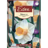 Nasiona i cebule - Narcyz wielkoprzykoronkowy Salome 3 sztuki Eden - miniaturka - grafika 1