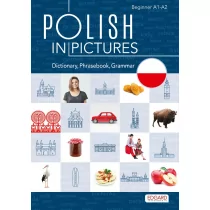 Polski w obrazkach. Słówka, rozmówki, gramatyka - Książki do nauki języka polskiego dla obcokrajowców - miniaturka - grafika 1