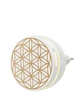 Zapachy do domu - Primavera Aroma Duftstecker Easy Dyfuzor aromatyczny 1 szt. - miniaturka - grafika 1