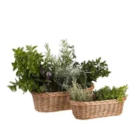 Pudła i pojemniki do przechowywania - KOSZ WIKLINOWY DONICZKA OSŁONKA NA ZIOŁA I KWIATY 48x26 H14 cm - miniaturka - grafika 1