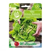 Nasiona i cebule - Legutko Sałata głowiasta masłowa MAY KING BIO - miniaturka - grafika 1