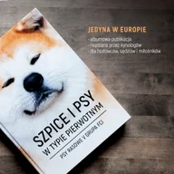 Książki medyczne - KYNO Szpice i psy w typie pierwotnym. Psy rasowe V grupa FCI praca zbiorowa - miniaturka - grafika 1