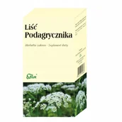 Herbata - FLOS LIŚĆ PODAGRYCZNIKA HERBATKA ZIOŁOWA NA STANY ZAPALNE 25 TOREBEK - miniaturka - grafika 1