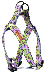 Dino DINO SZELKI TAŚMA REG. IVO 25mm LIŚĆ dł. 60-90cm - Szelki dla psów - miniaturka - grafika 1