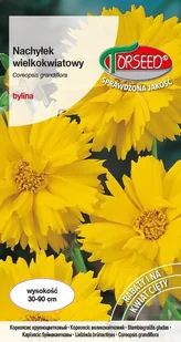 Nasiona Nachyłek wielkokwiatowy złotożółty 1g - Torseed - Nasiona i cebule - miniaturka - grafika 1