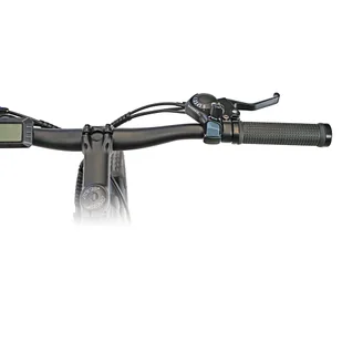 Luchia ATRIA Road Electric Bike 250W Motor 36V 10AH Battery 25km/h Max Speed 55-65km Range Mechanical Disc Brake - Rowery elektryczne - miniaturka - grafika 6