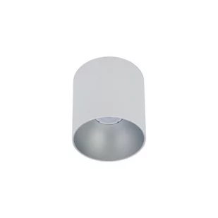 Nowodvorski Spot LAMPA sufitowa POINT TONE 8220 metalowa OPRAWA tuba downlight biały srebrny 8220 - Lampy sufitowe - miniaturka - grafika 1