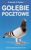 Poradniki hobbystyczne - Gołębie pocztowe - miniaturka - grafika 1