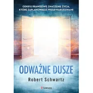 Ezoteryka - Odważne dusze - miniaturka - grafika 1