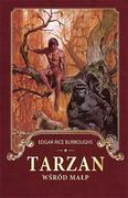 Powieści i opowiadania - Zysk i S-ka Tarzan wśród małp - Edgar Rice Burroughs - miniaturka - grafika 1