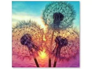 Haft Diamentowy, Obraz, Mozaika Diamentowa Diamond Painting, Dmuchawce 30X30Cm - Zabawki kreatywne - miniaturka - grafika 1