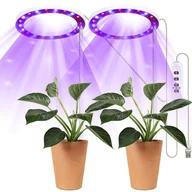 Pozostałe akcesoria do uprawy roślin - Lampa Led Plant Heckermann Pierścień Tsh-G1-2 - 2 Głowice - Fioletowy - miniaturka - grafika 1