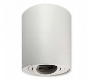 Masterled Devo lampa sufitowa tuba kierunkowa 1xGU10 biała 0133lv - Lampy sufitowe - miniaturka - grafika 1